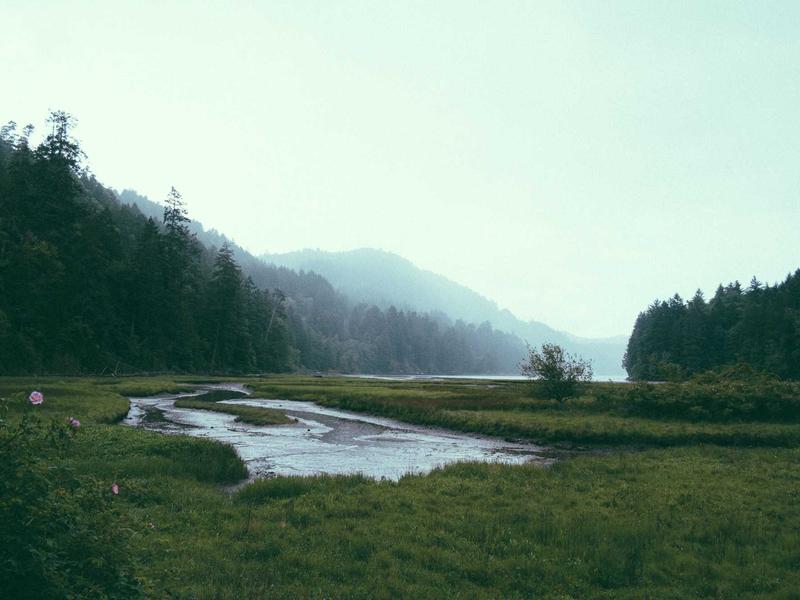 Rahul Mehta — Kashmir Winter Escape